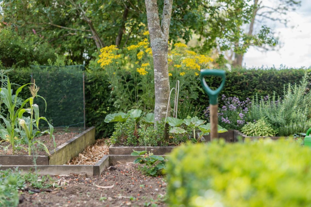 The Figgy By Bloom Stays Ashford  Exteriér fotografie