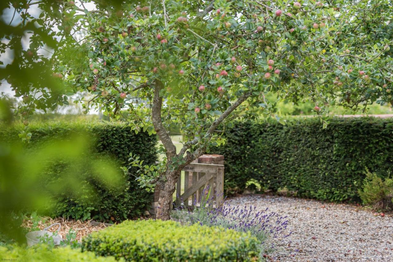 The Figgy By Bloom Stays Ashford  Exteriér fotografie